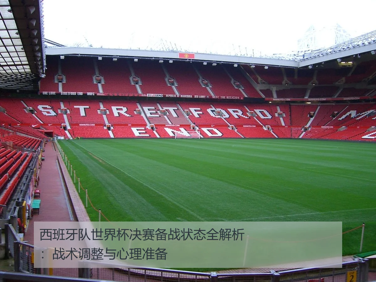西班牙队世界杯决赛备战状态全解析:战术调整与心理准备